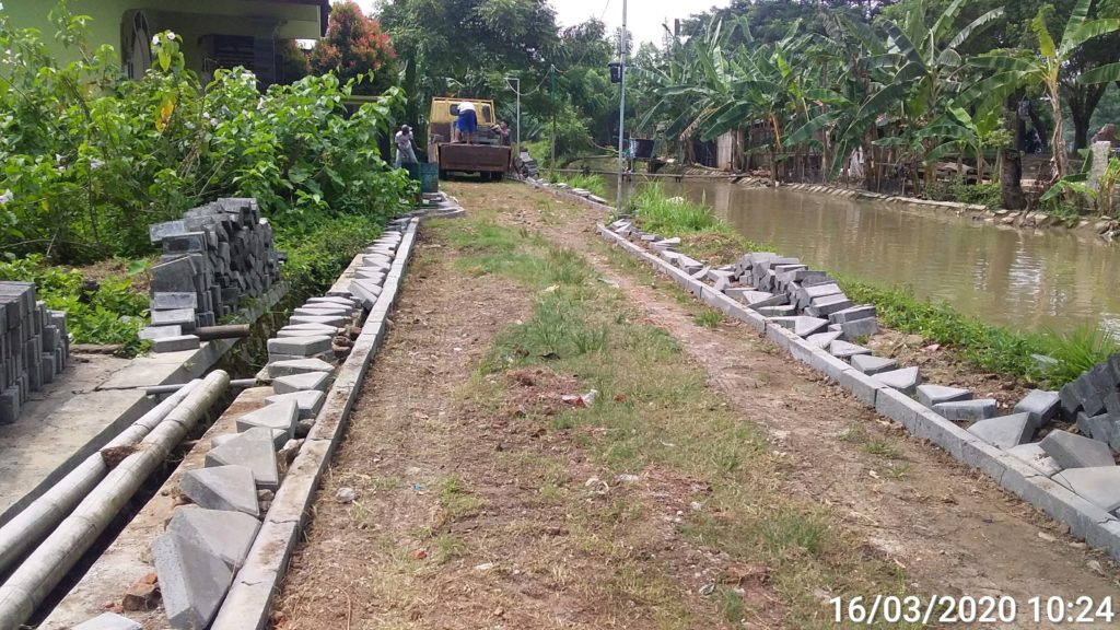 Terlihat Jelas Rumput Bergoyang